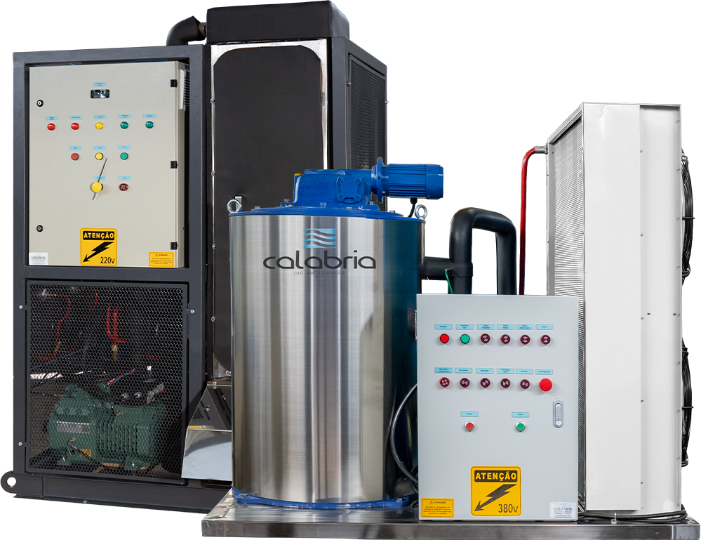 A imagem mostra peixes armazenados em gelo